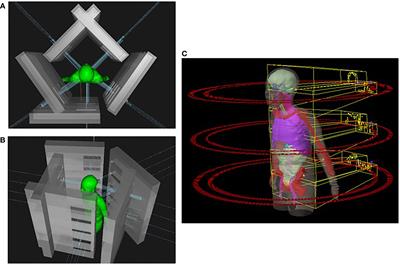 Treatment planning of total marrow irradiation with intensity-modulated spot-scanning proton therapy